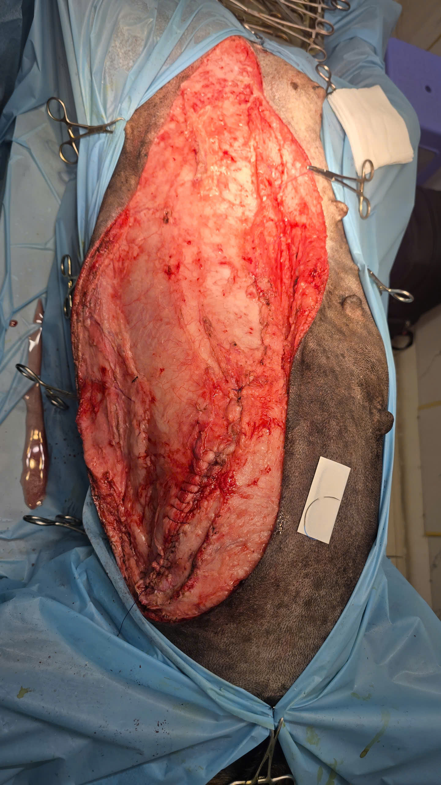 Bệnh viện Thú Y Gia Kiệm - Hình 4